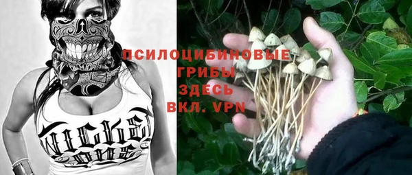 2c-b Верея