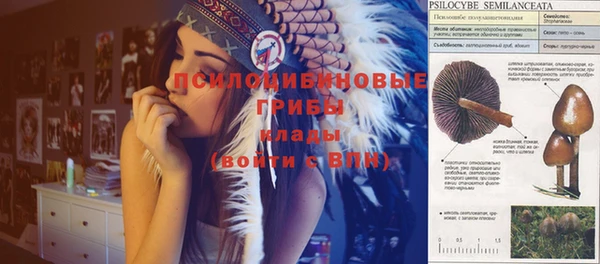 сатива Верхнеуральск